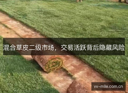 混合草皮二级市场，交易活跃背后隐藏风险
